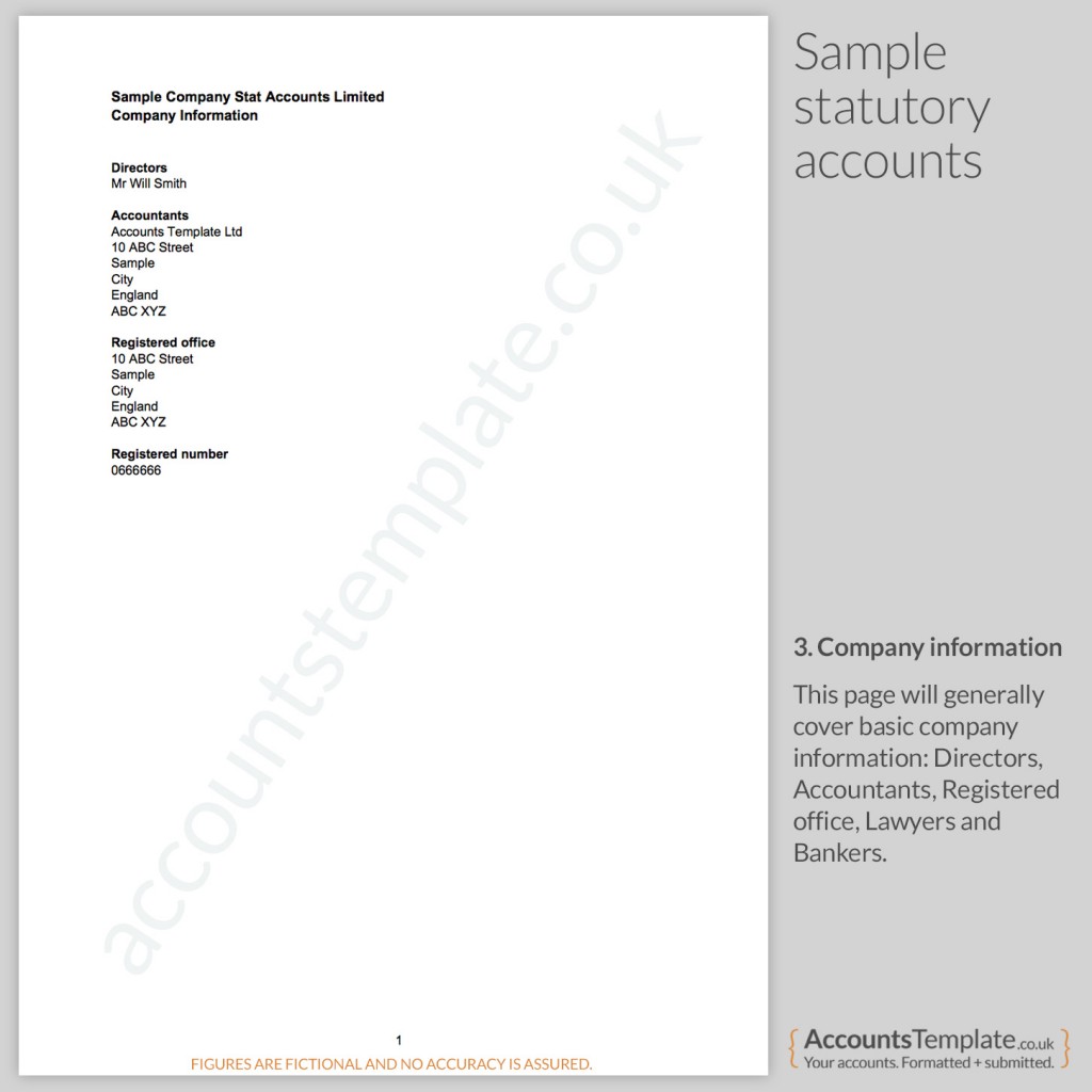 Sample Company information from Statutory Accounts