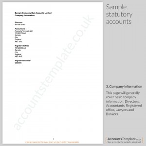 Sample Company Information from Statutory Accounts
