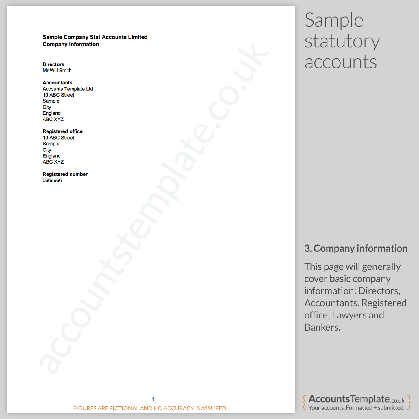 A guide to the Statutory Accounts format  Accounts Template