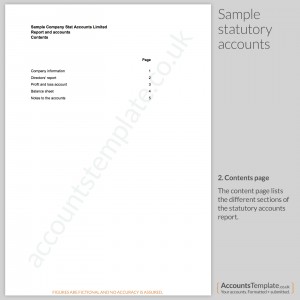 Sample Statutory Accounts contents page