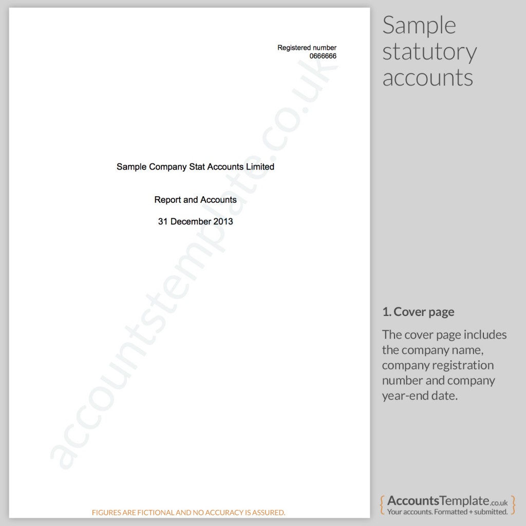 Statutory Accounts cover page