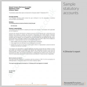 Sample Director's Report from Statutory Accounts