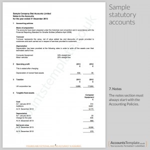 Sample Account Notes from Statutory Accounts