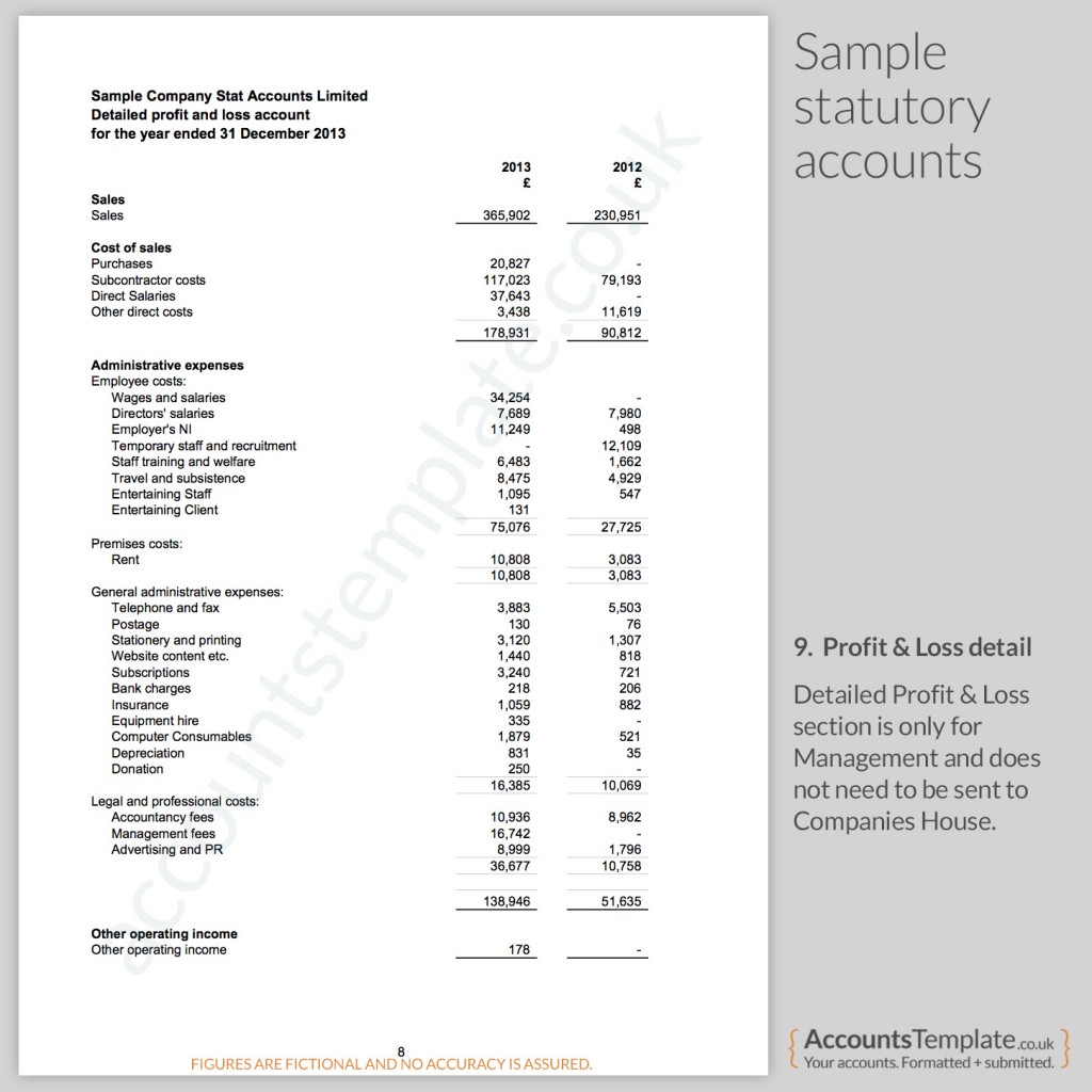 Sample Profit and Loss Report from Statutory Accounts