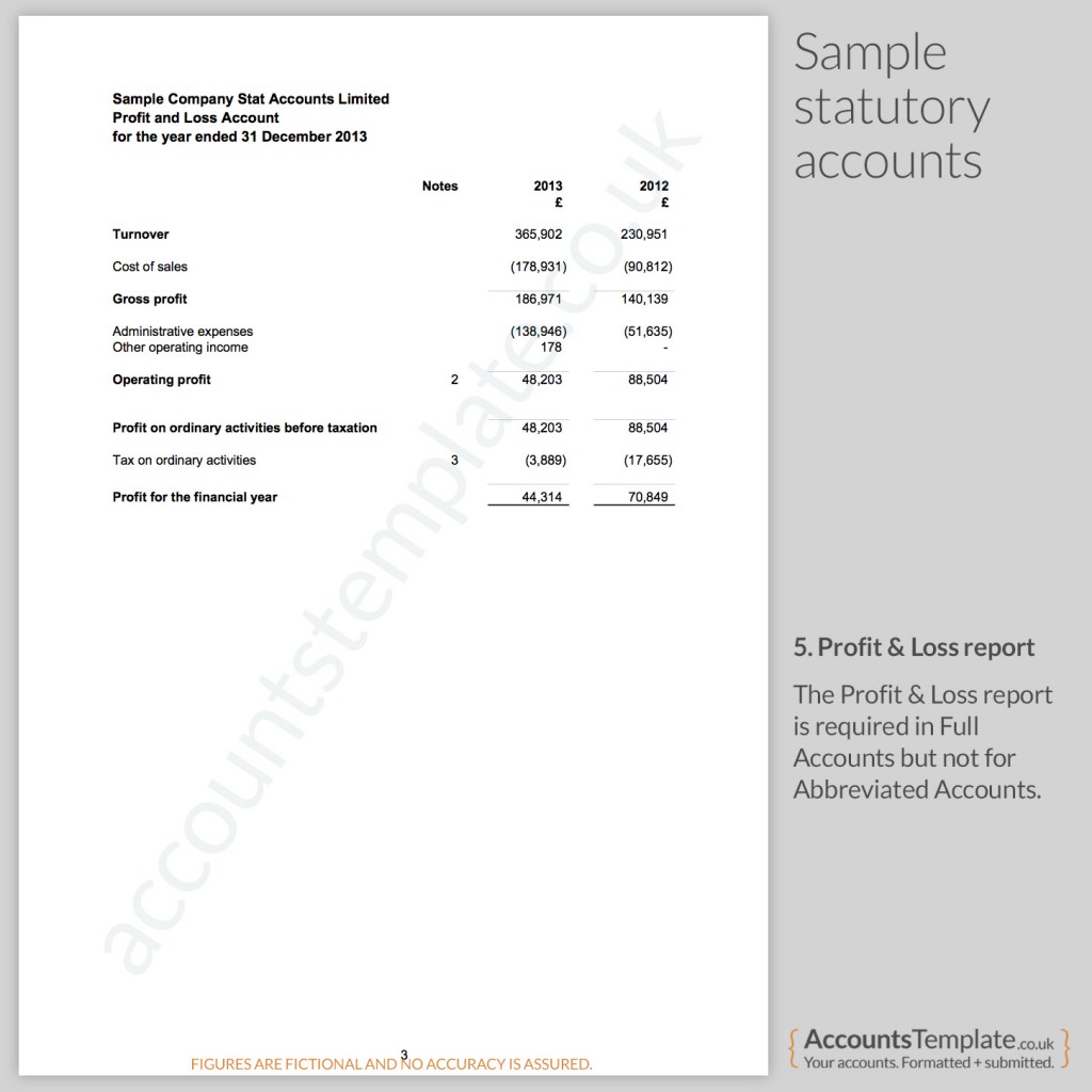 Sample Profit & Loss Report from Statutory Accounts