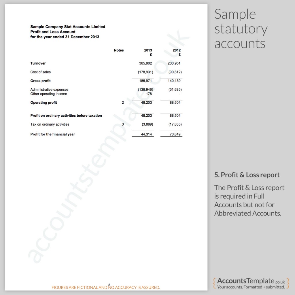 A guide to the Statutory Accounts format  Accounts Template