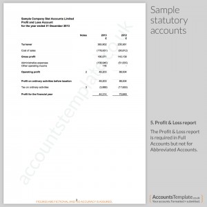 Sample Profit and Loss Report from Statutory Accounts