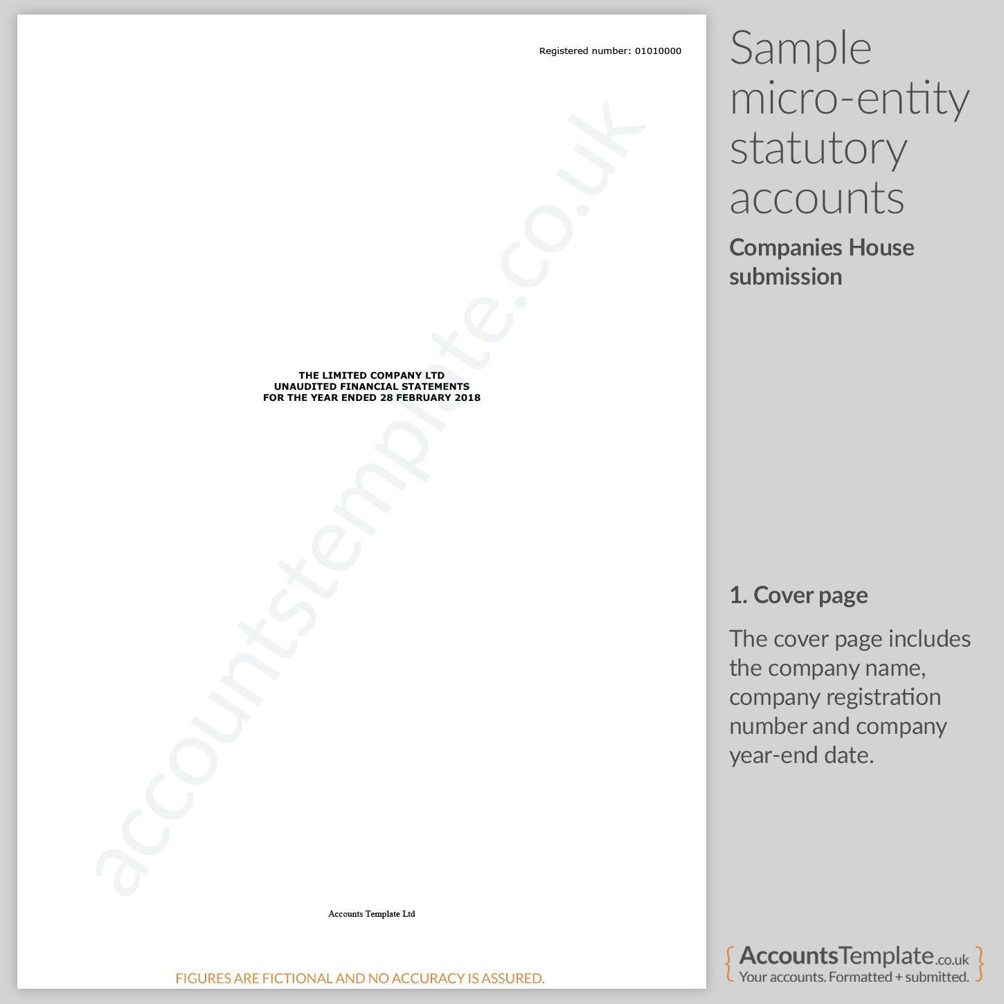 A Guide To Micro Entity Statutory Accounts Format Accounts Template