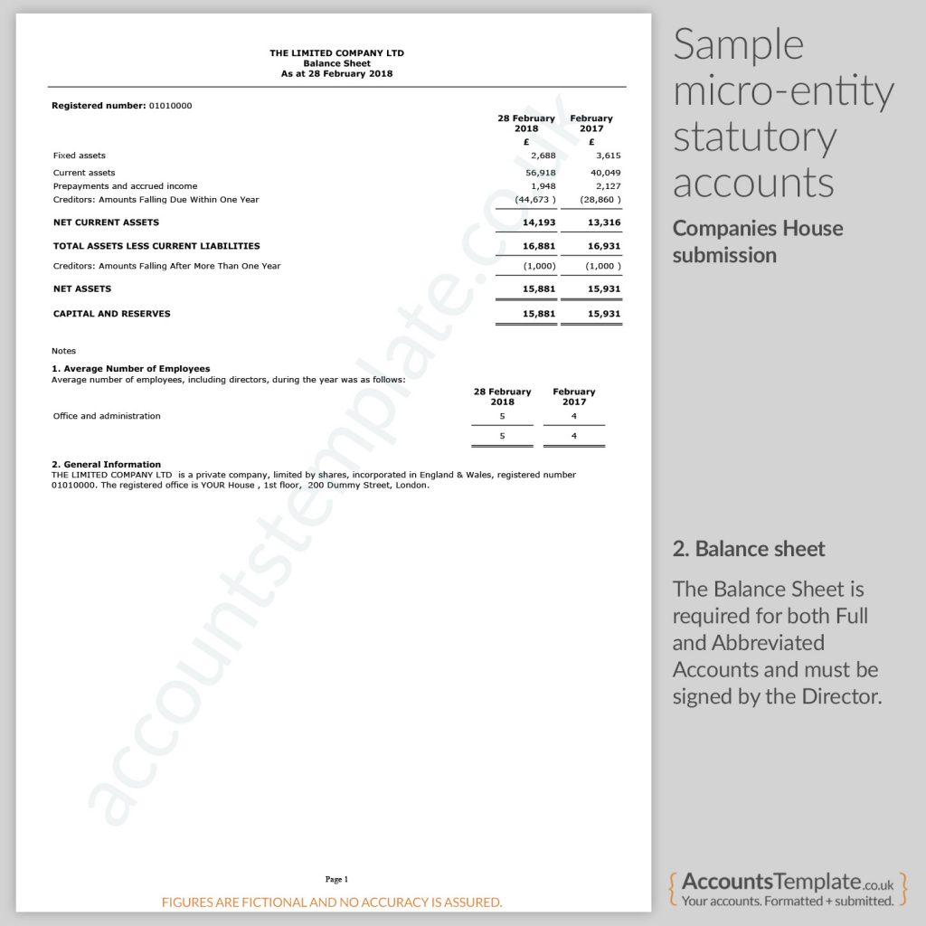 Companies House Micro Entity Balance Sheet Example