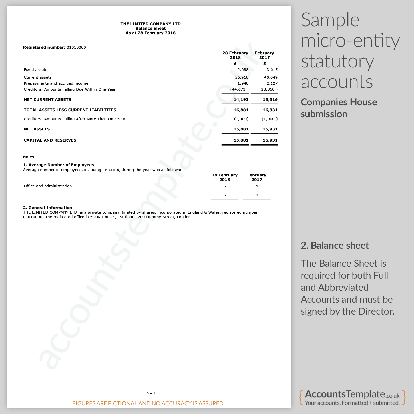 a guide to micro entity statutory accounts format template net worth balance sheet generator excel